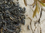 Herbata czarna China Golden Yunnan FOP