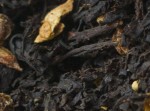 Herbata czarna Rokitnik z Imbirem