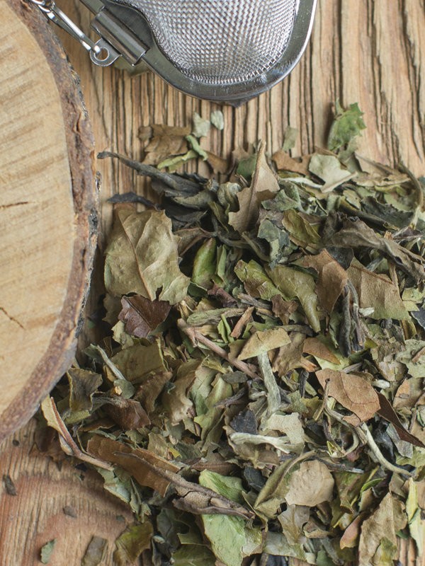 Biała herbata Pai Mu Tan