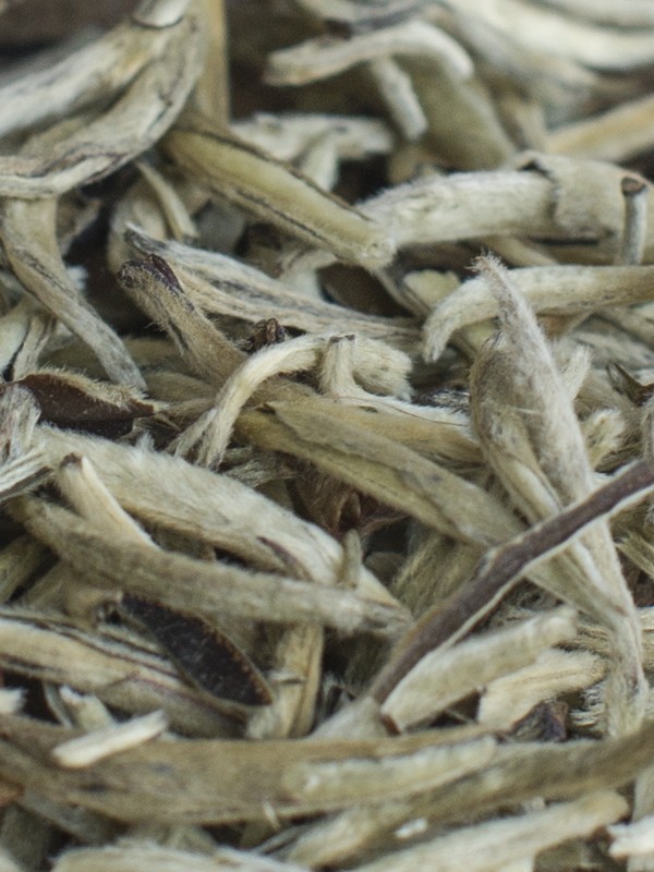 Herbata White Pu erh King