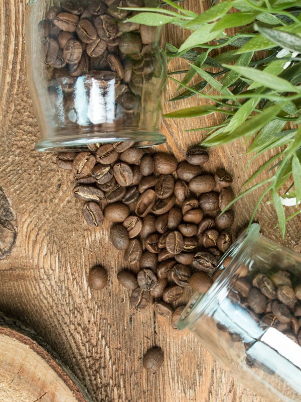 Kawa Arabika - Indie Riverdale