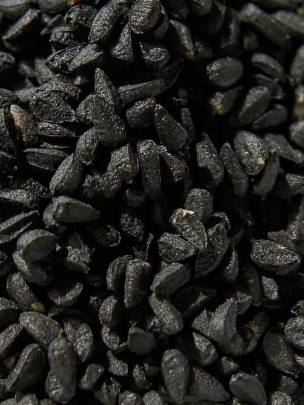 Przyprawa Czarnuszka