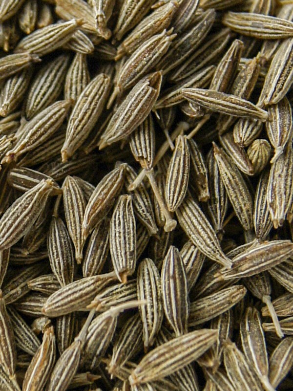 Przyprawa Kmin rzymski